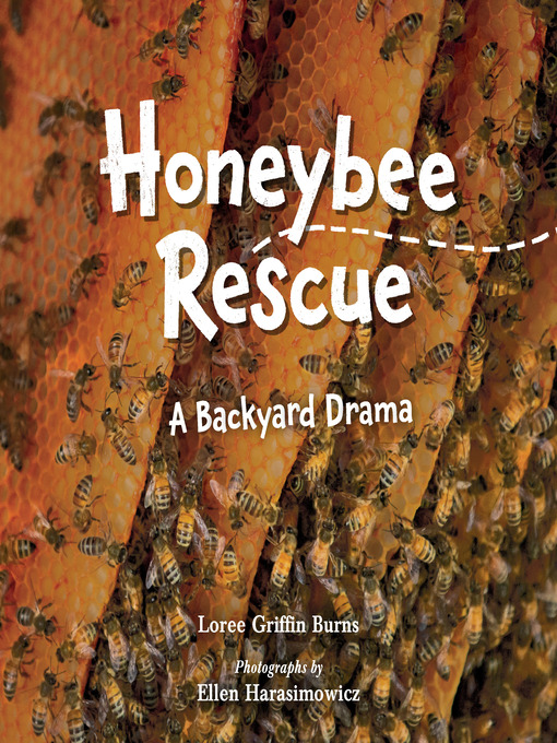 Cover image for Honeybee Rescue